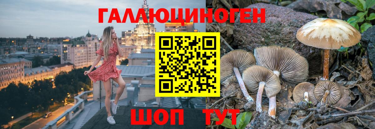 Галлюциногенные грибы Magic Shrooms  Вход с VPN  Сургут 